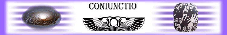 Coniunctio purple logo