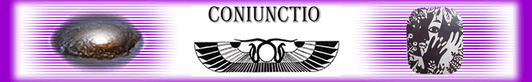 Coniunctio purple logo