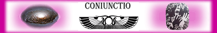 Coniunctio dark pink logo
