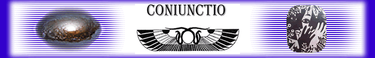 Lavender Cununctio Logo Graphic