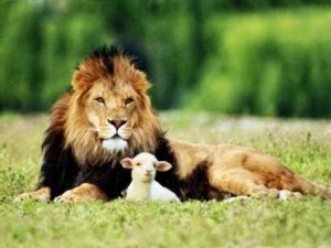 lion-and-lamb